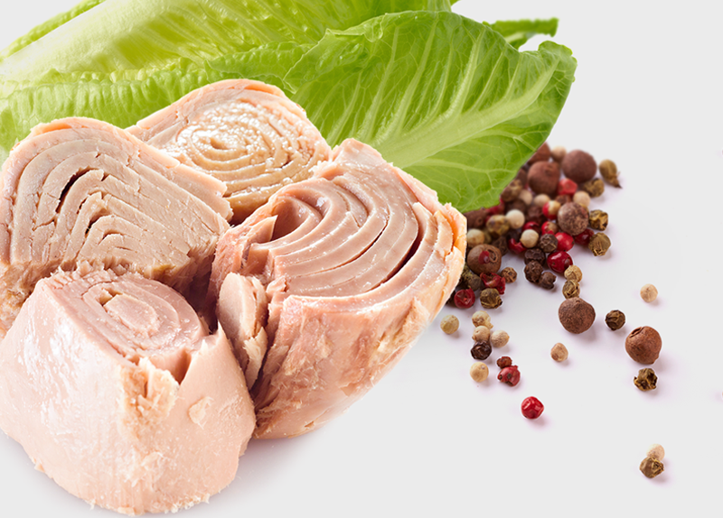 HOW TO ENHANCE YOUR MEALS WITH SOLID WHITE ALBACORE TUNA, CHUNK WHITE ALBACORE TUNA, AND CHUNK LIGHT TUNA